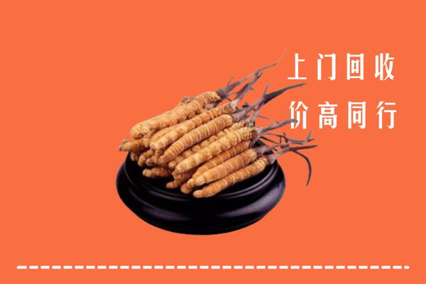 高价求购：蒲城县回收散虫草