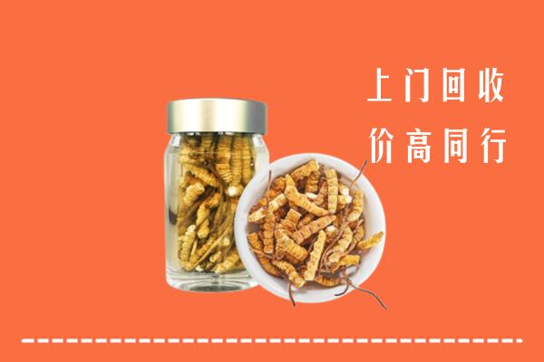 蒲城县回收冬虫夏草