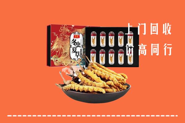 蒲城县回收虫草